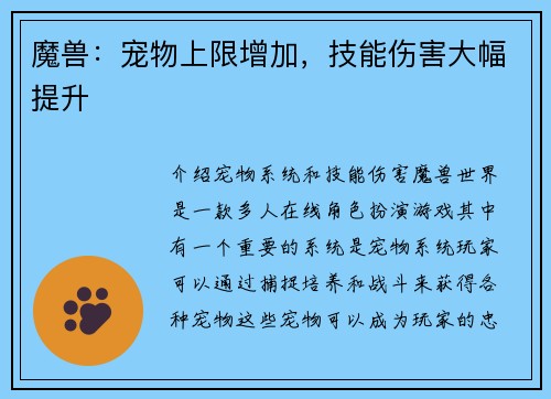 魔兽：宠物上限增加，技能伤害大幅提升